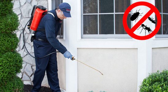 Köşk Dezenfeksiyon böcek ilaçlama ve haşere kontrolü — ilaclama-tr.com